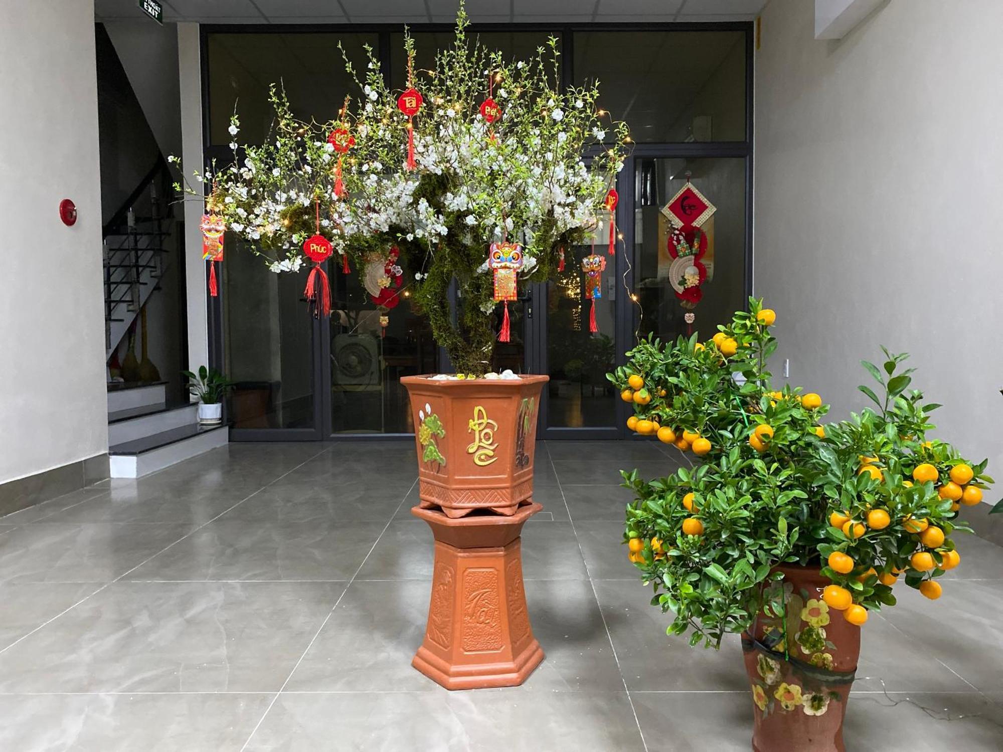 G-Space Apartment Hai Phong Eksteriør bilde